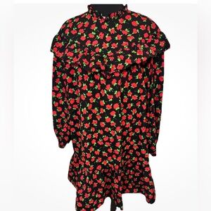 Zara Floral Babydoll Ruffle Top Dress XS